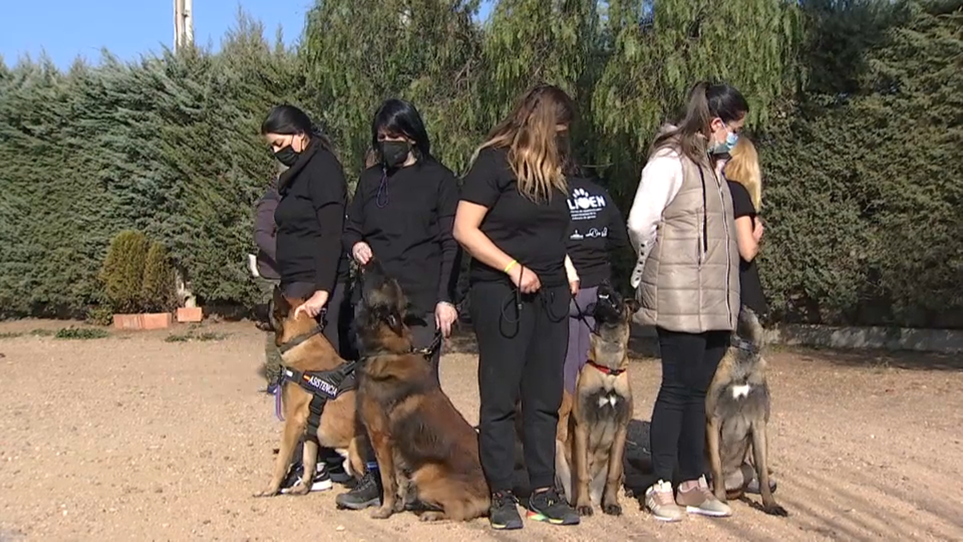 Supervivientes de violencia de género