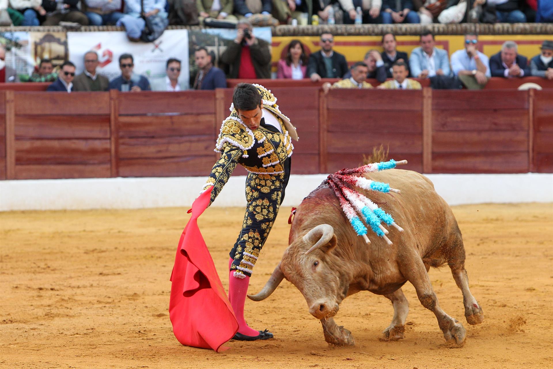 El diestro José M.ª Manzanares en la lidia de su primer toro de la ganadería de Núñez del Cuvillo, hoy domingo en la Feria de Olivenza 2022 en su 31 edición.