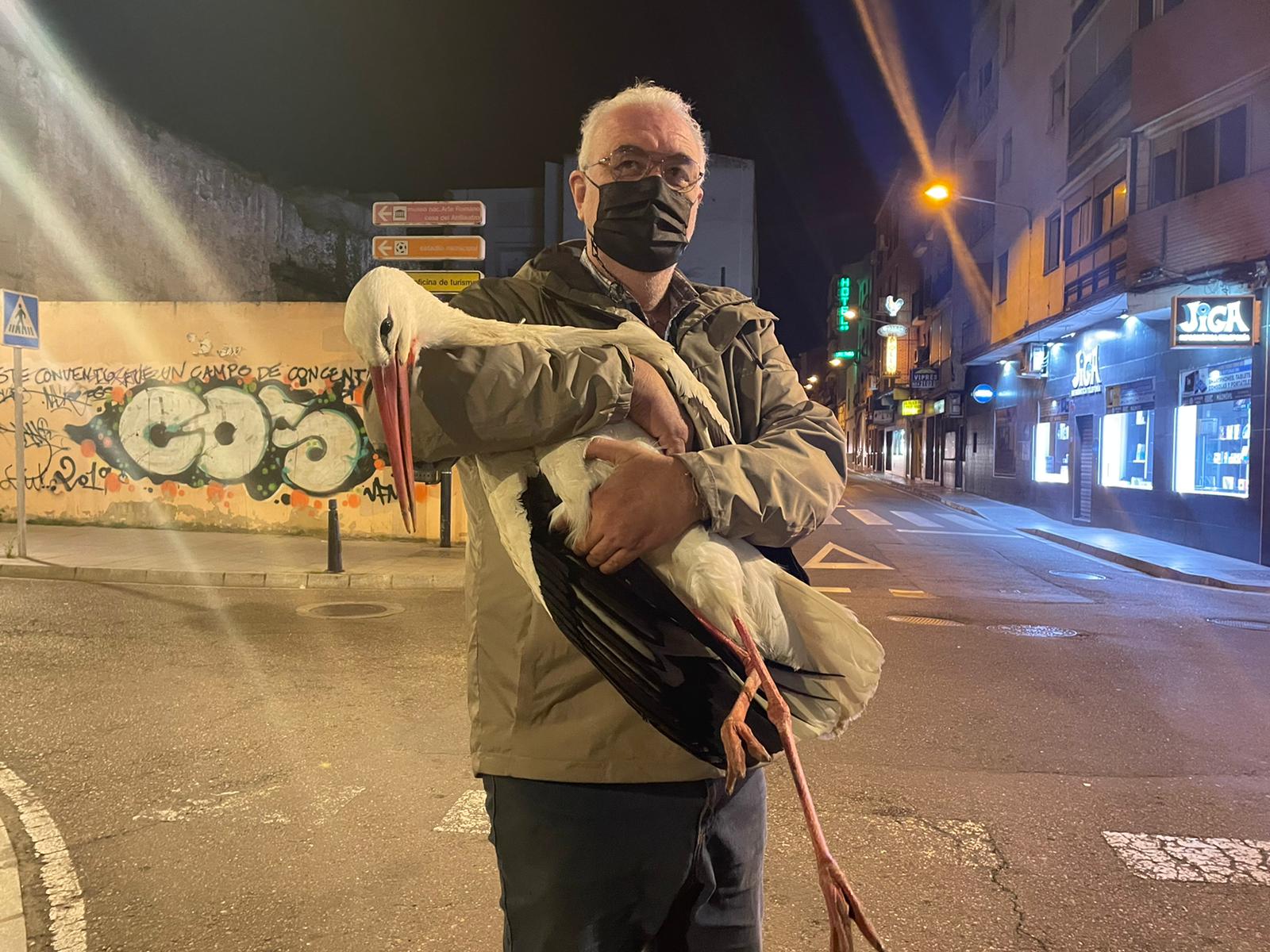 Rafael Olmo, con la cigüeña rescatada