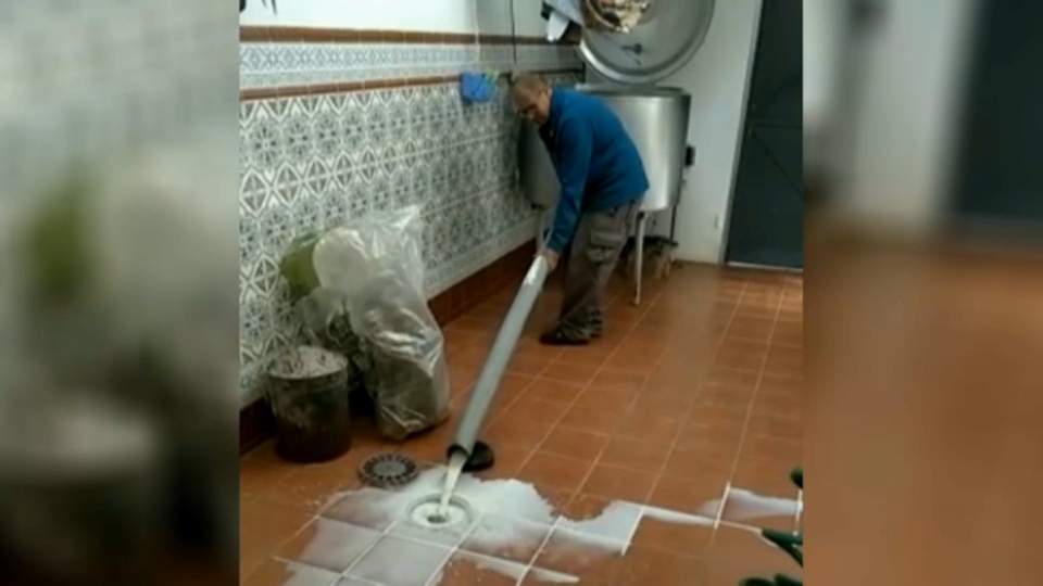 Tira la leche