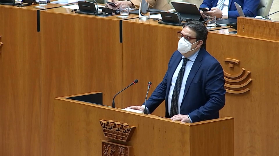 José María Vergeles en su comparecencia ante el pleno de la Asamblea