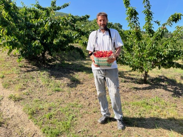 Un cultivador de cereza en su primer día de campaña.