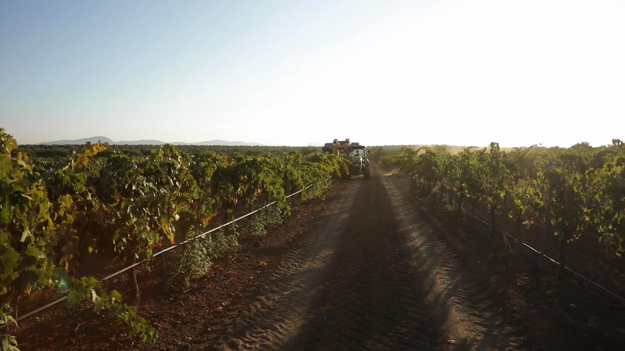 Tractor en campo