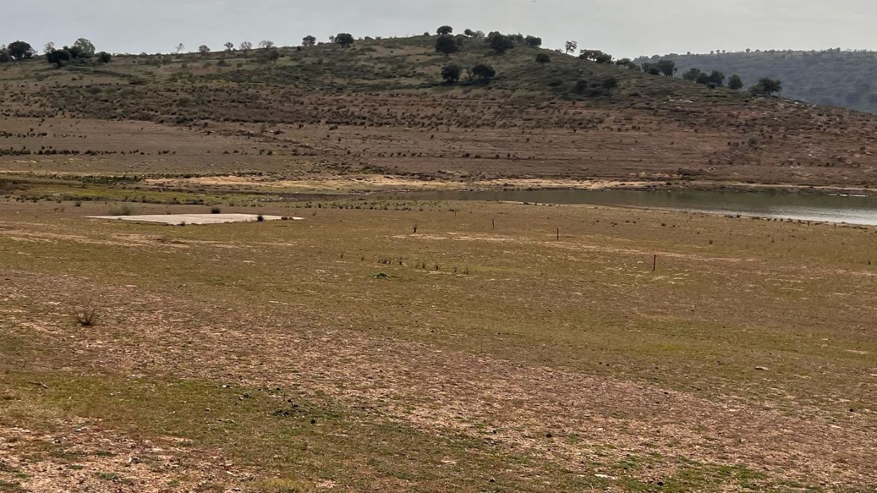 pantano de Alange
