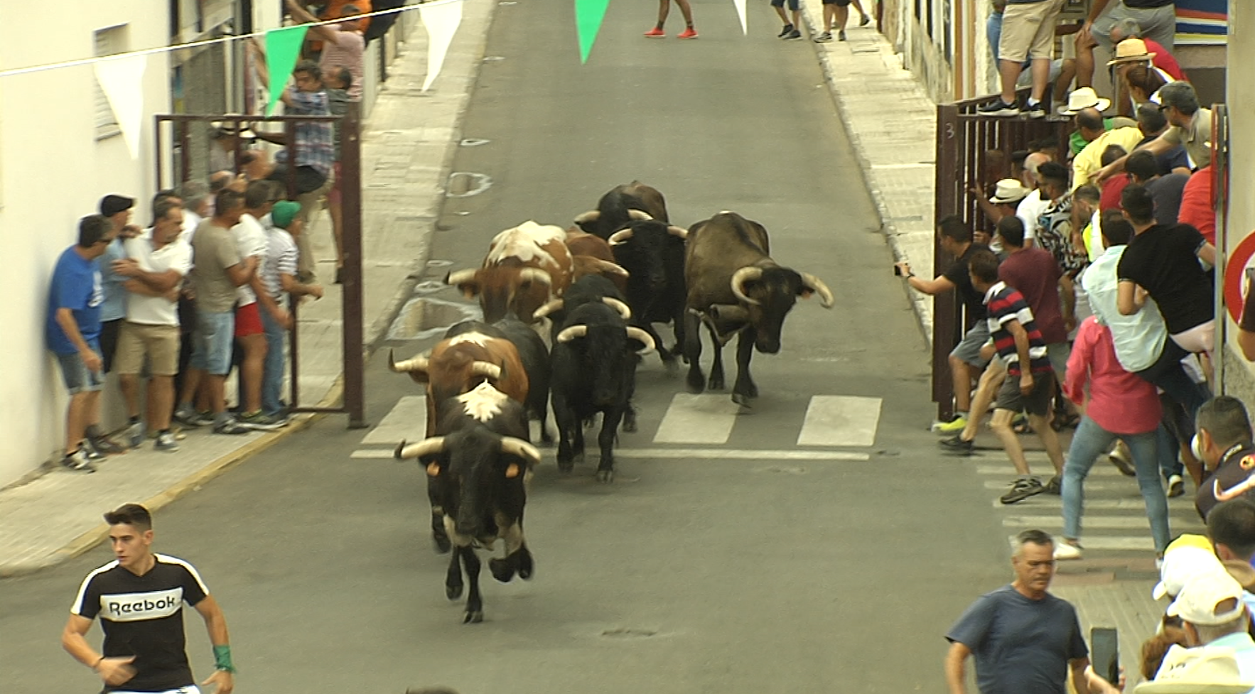 Encierros Moraleja Canal Extremadura Tierra de Toros