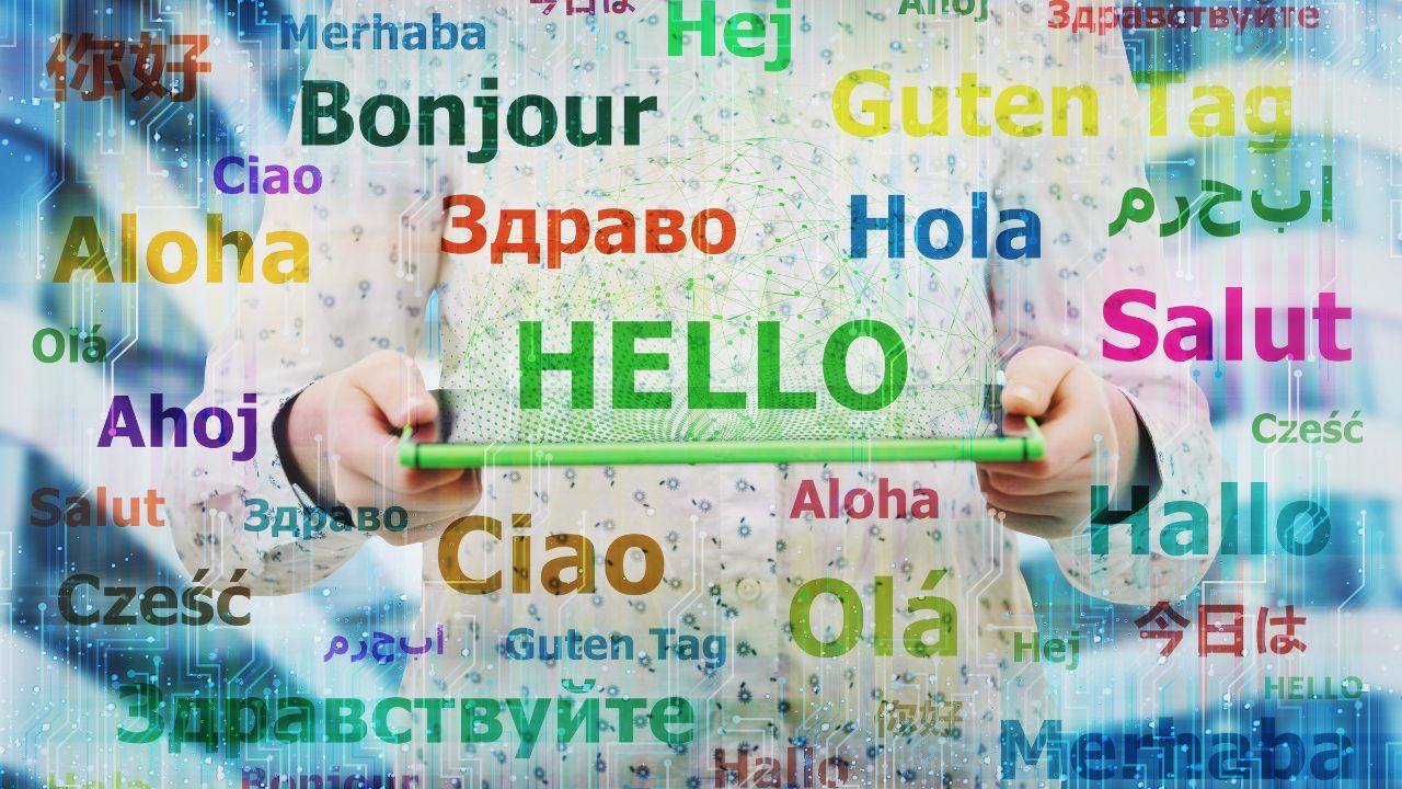 vasco translator