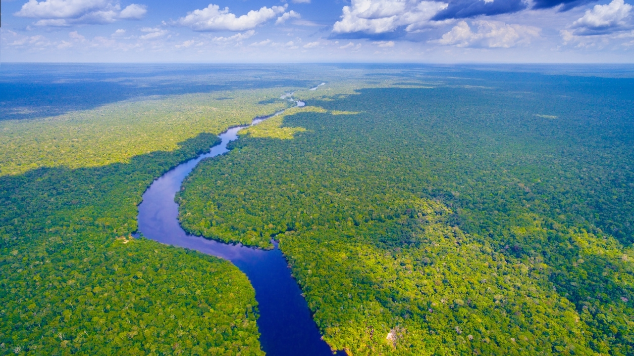 Amazonas