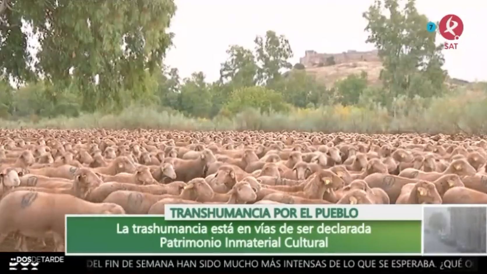 El valor de la trashumancia en Extremadura Canal Extremadura