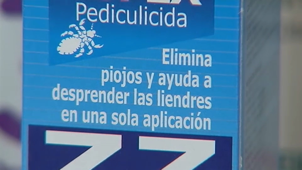 Entrevista c mo combatir los piojos de manera efectiva