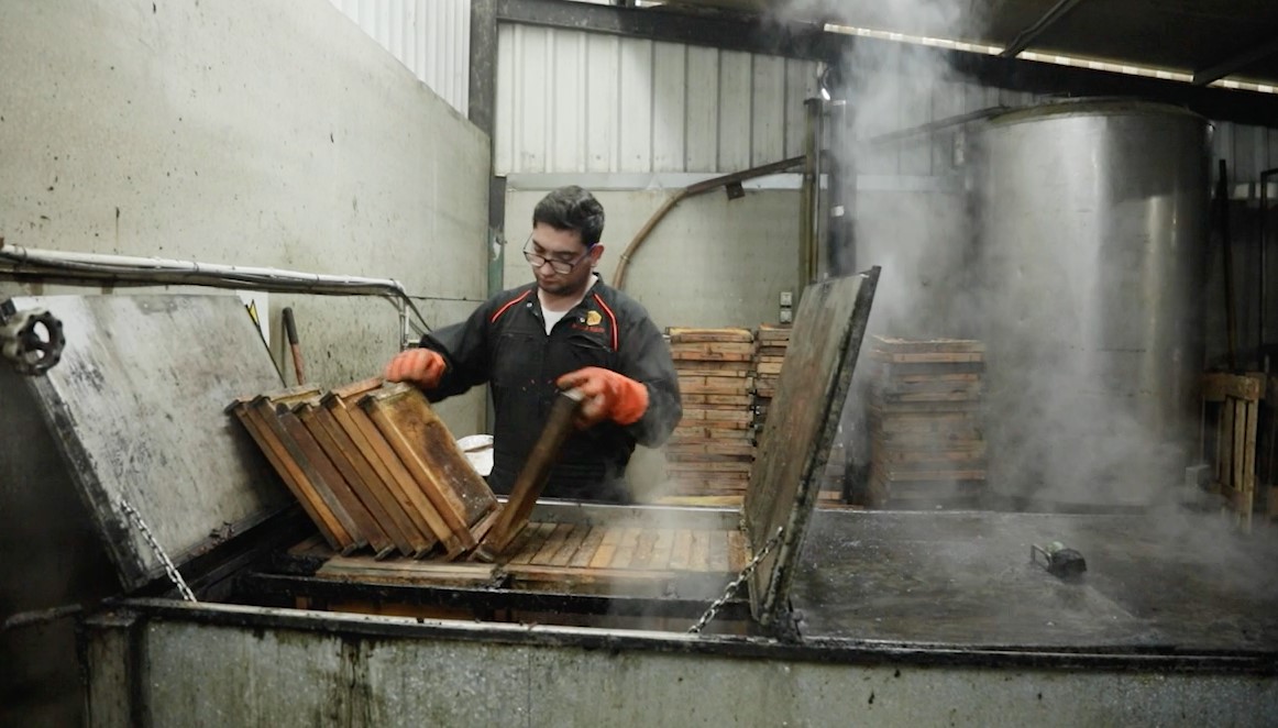 Trabajador desinfectando cuadros de colmenas