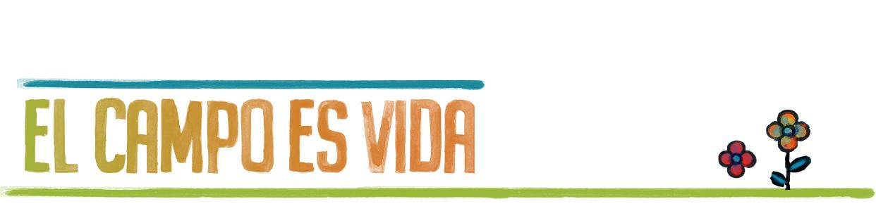Cintillo El Campo es Vida