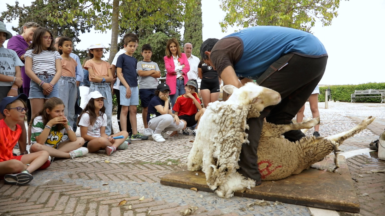 Escolares extremeños observan una esquila didáctica