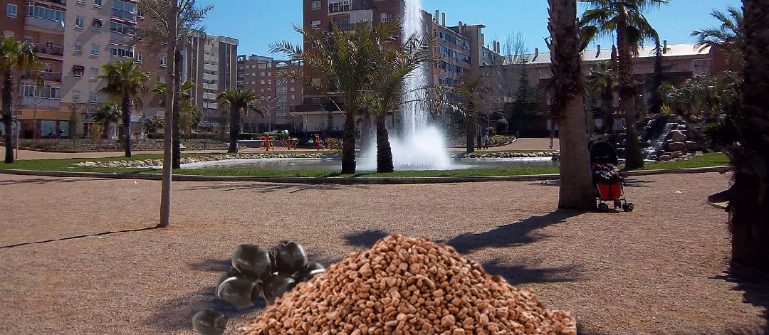 Huesos de aceitunas en el barrio