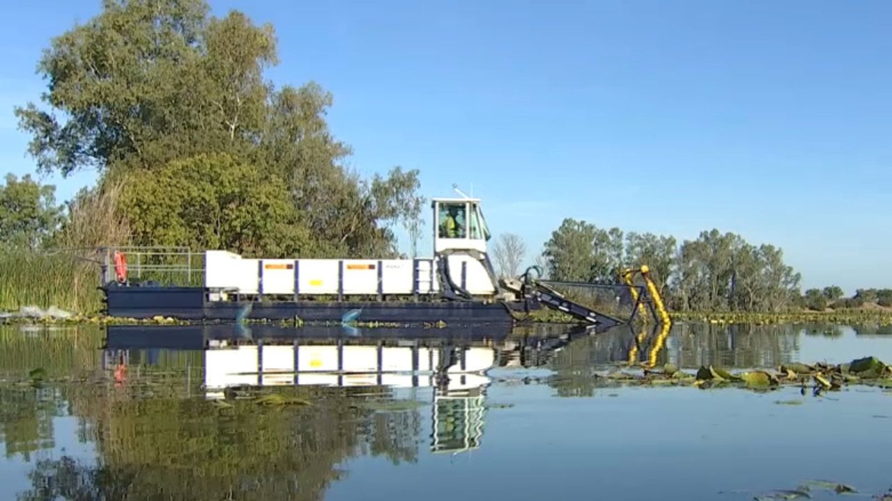 embarcación Manatí