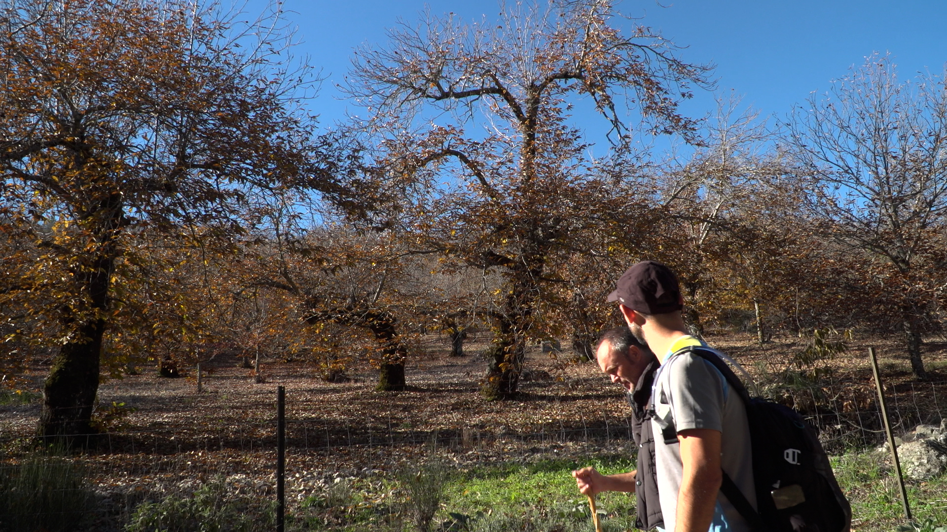 DÓNDE ANDAS_FONTANAL_