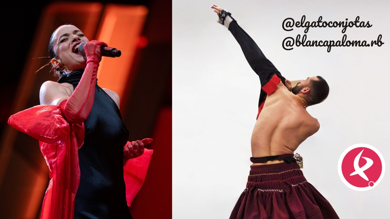 El Gato con Jotas Blanca Paloma