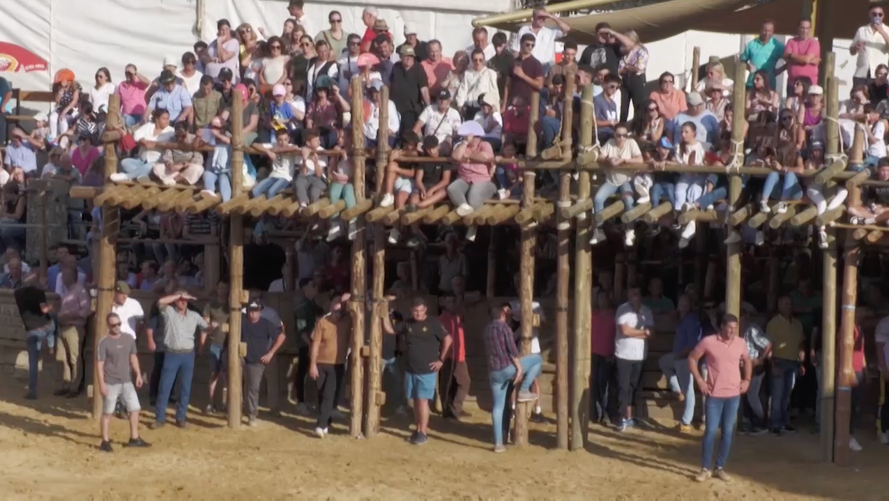 Festejo Popular, Toro en la Calle, Extremadura toros, Juan Bazaga, Tierra de Toros, canal Extremadura, Encierros, capeas