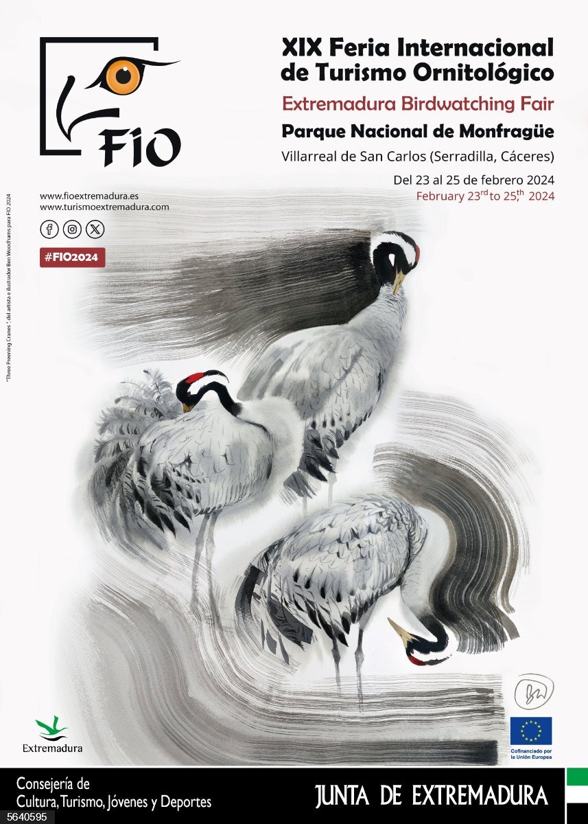 fio 2024