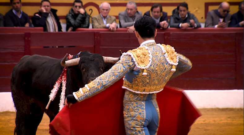Olivenza Almendralejo Toros Temporada Taurina Talavante Roca rey Morante Juan Bazaga Tierra de Toros Canal Extremadura