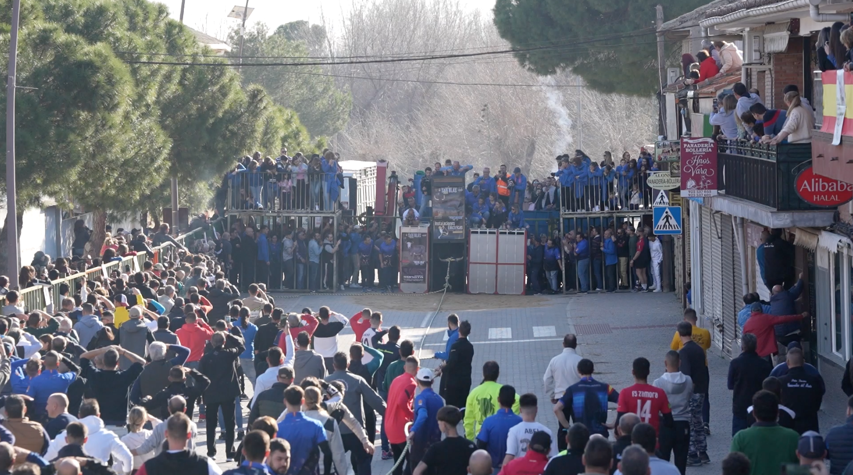 Yuncos, Toro enmaromado, Asociacion Cultura Toro Enmaromado, Festejo Popular, Precavido, Ganadería José Vazquez, Juan Bazaga, Tierra de Toros, Canal Extremadura