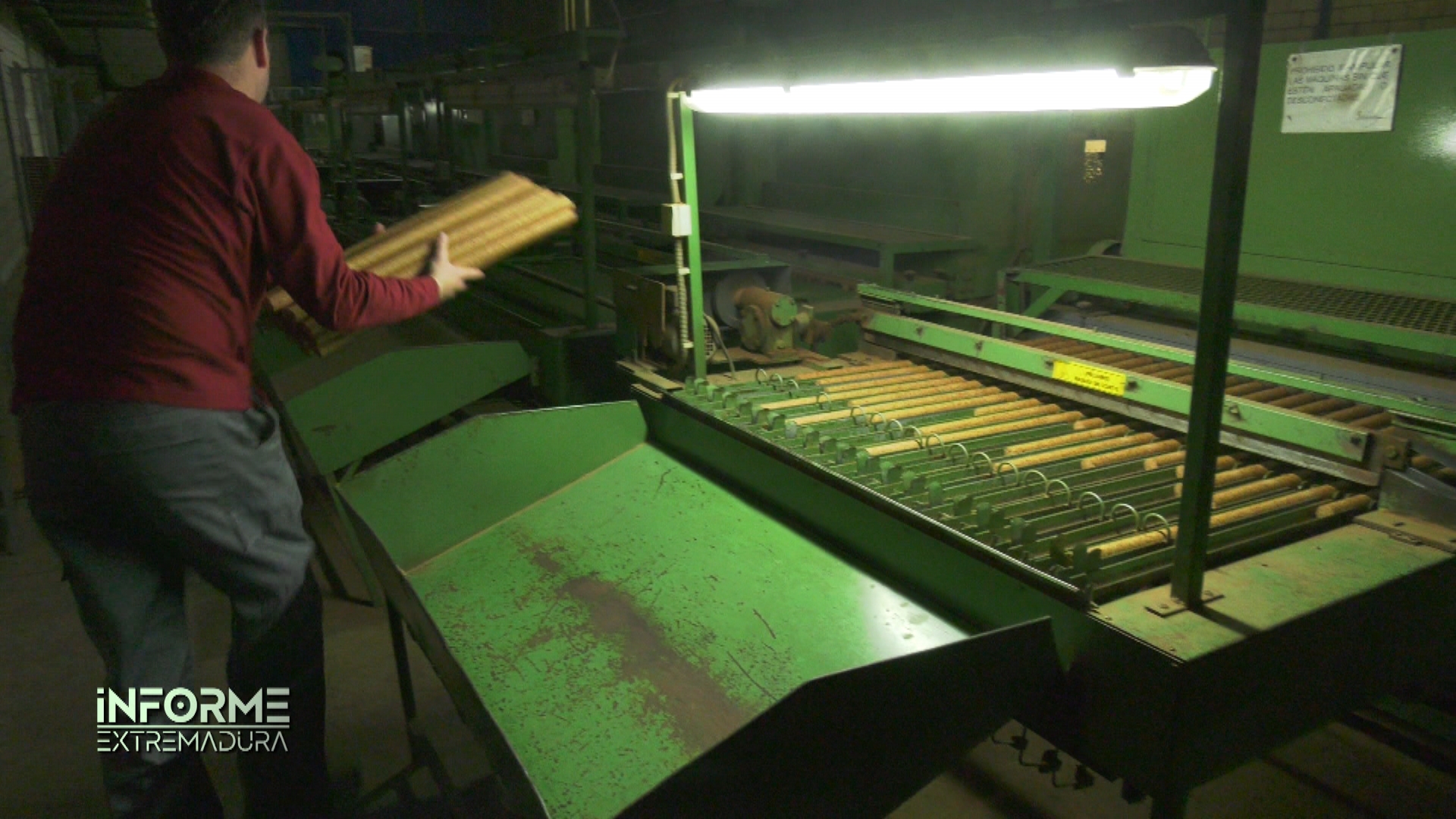 san vicente de Alcántara, corcho. Informe Extremadura