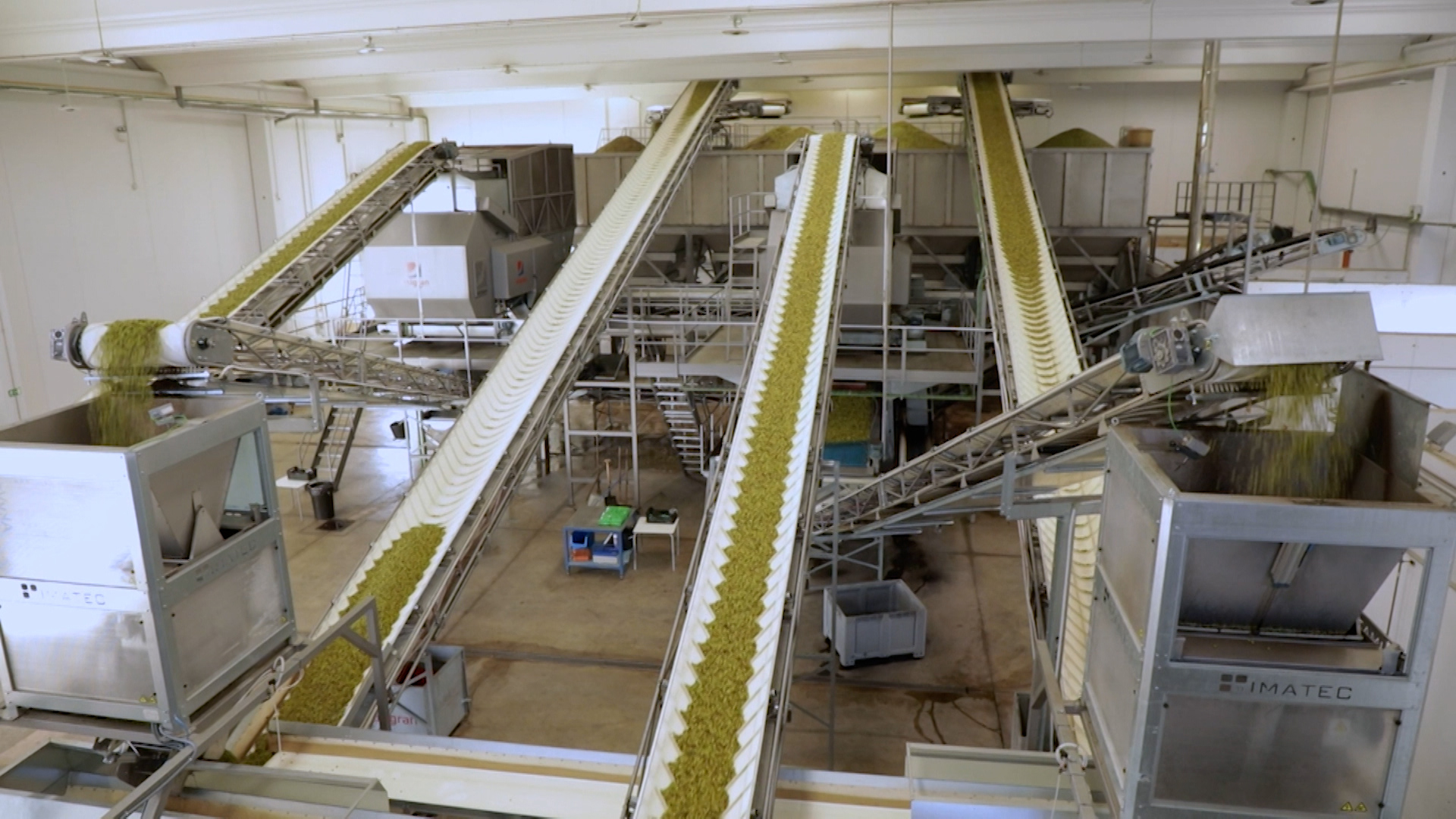 Interior de una almazara extremeña