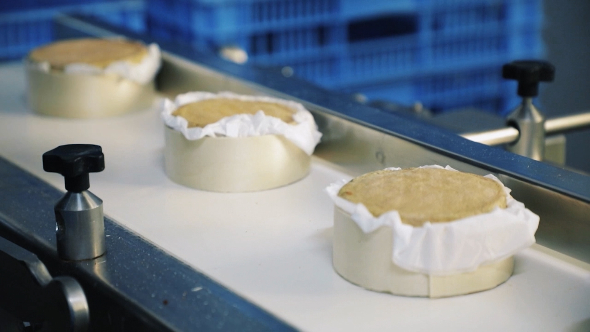 Tortas del Casar preparándose para su comercialización