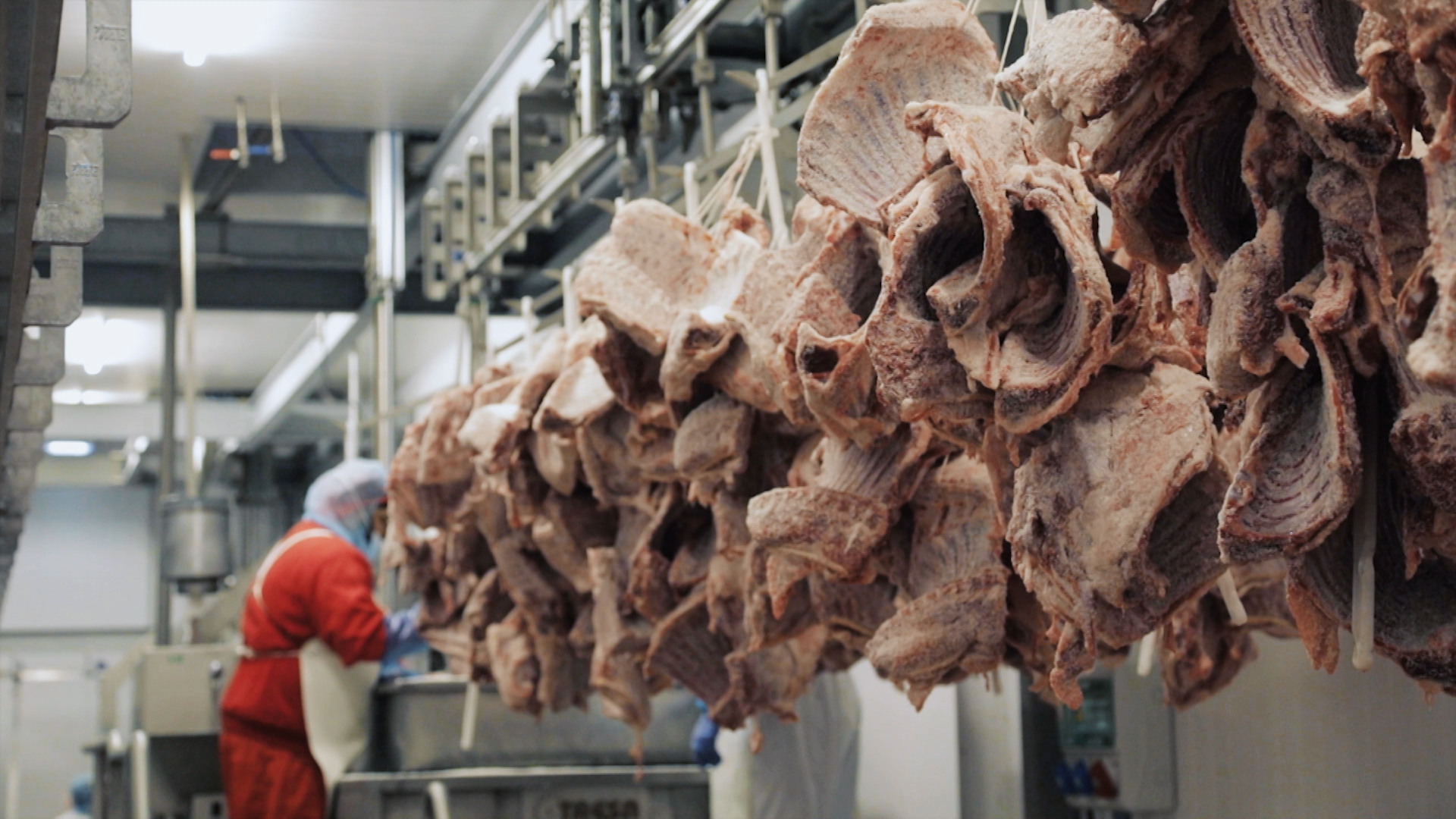 Carne Khoser en un matadero