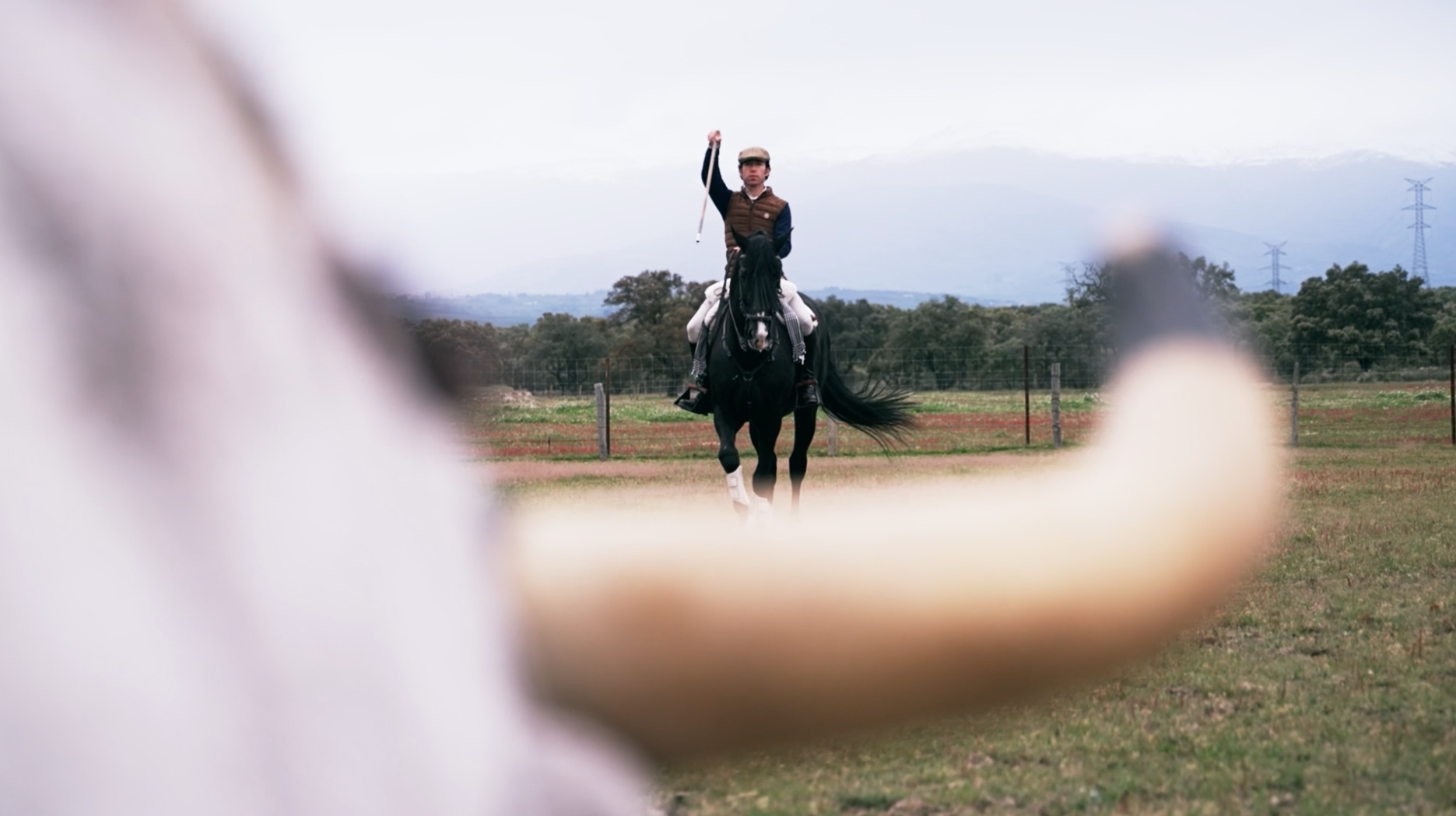 Leonardo Hernández, Rejoneador, Campo Bravo, Caballos toreros, Toreo de Salon, Tierra de Toros, Juan Bazaga, Canal Extremadura