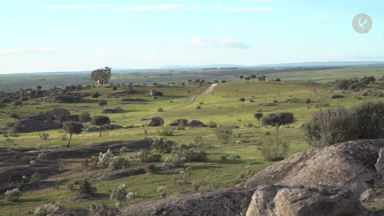 berrocal de trujillo