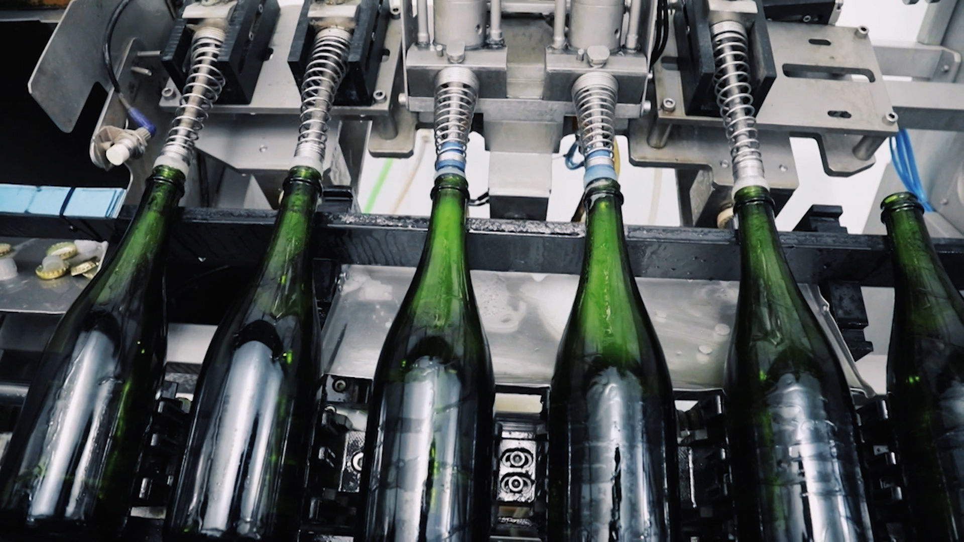 Botellas de cava en una empresa embotelladora