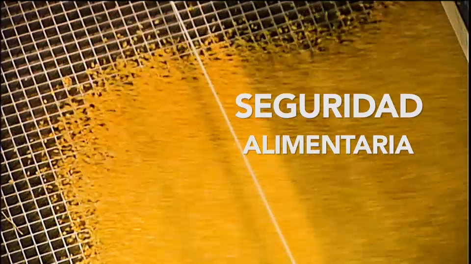 Seguridad alimentaria