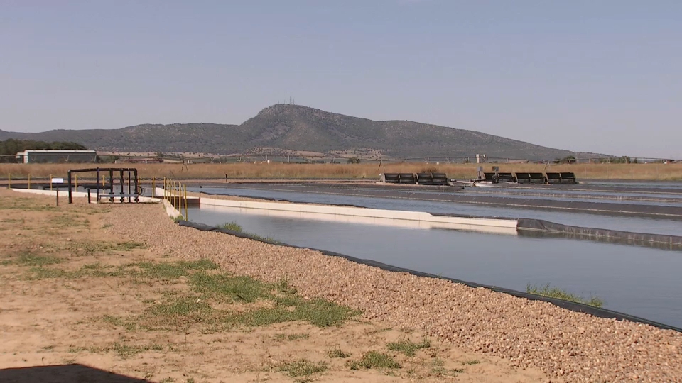 Biofactoría Microalga Mérida