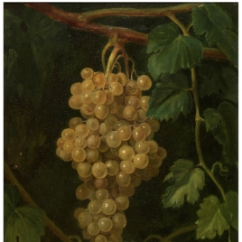 'Un racimo de uvas', de la pintora Joaquina Serrano y Bartolomé