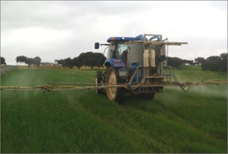 Aplican pequeñas cantidades de selenio en una parcela de triticale