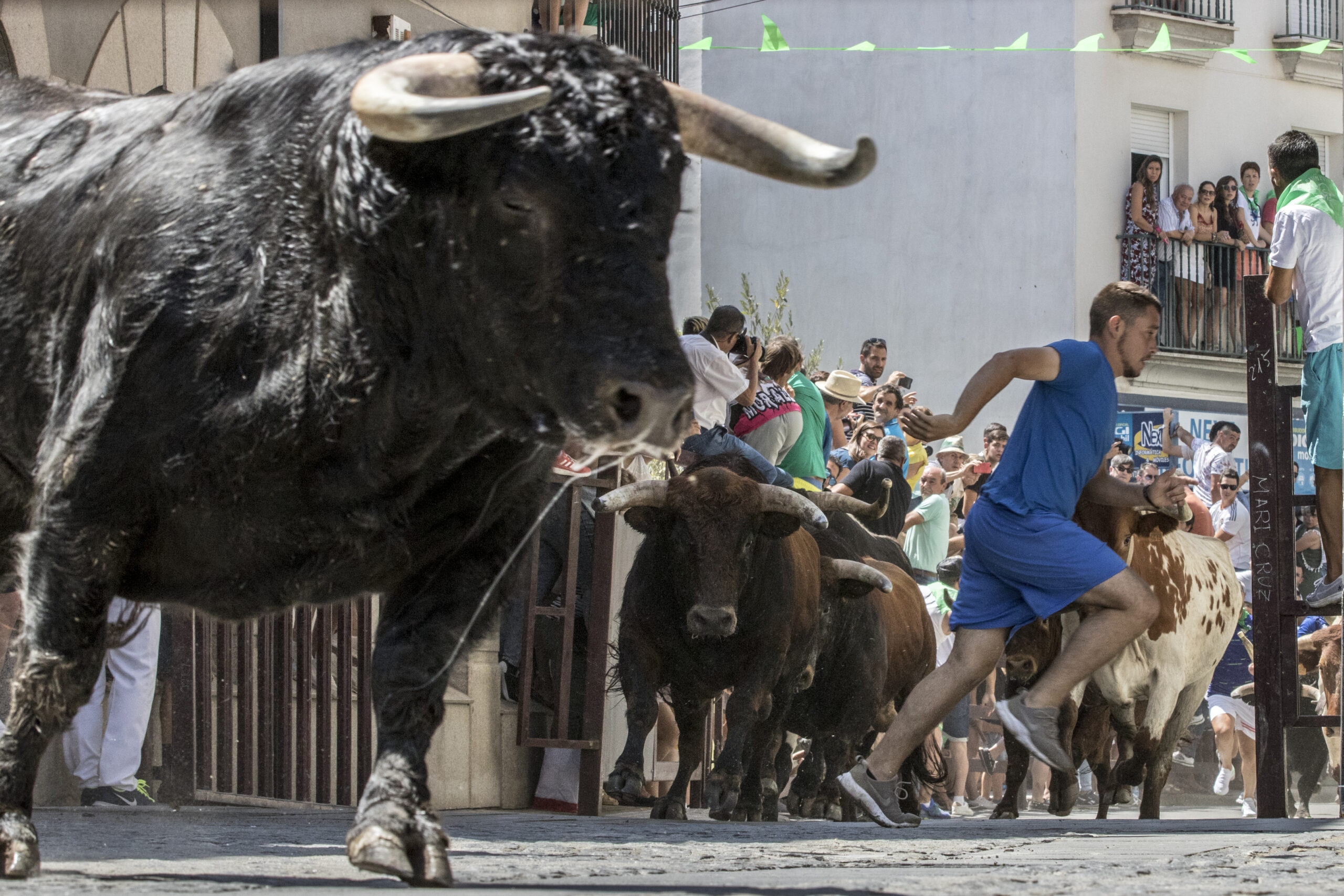 Foto: Ayuntamiento de Moraleja