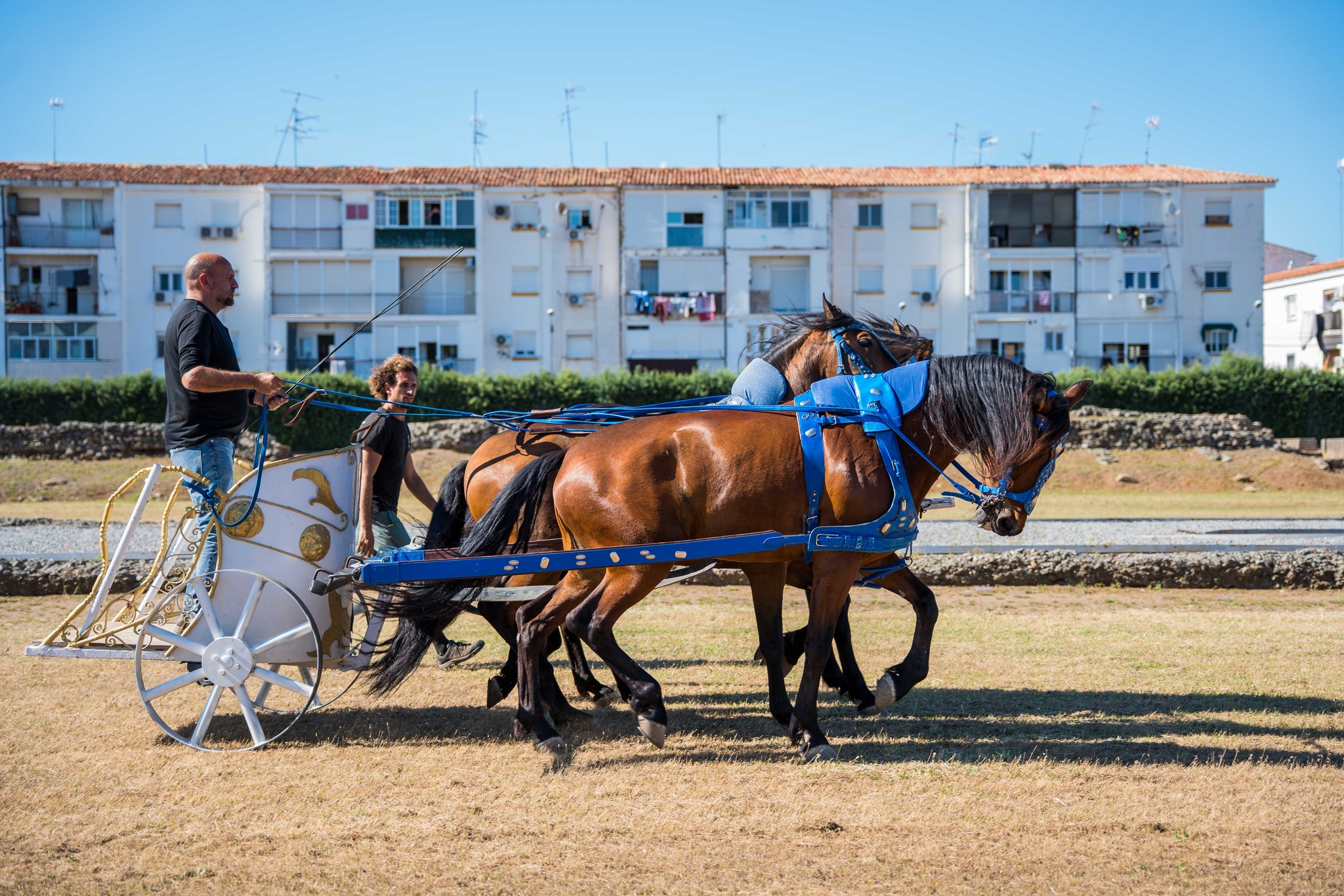 Ensayos de la carrera de cuadrigas en Mërida