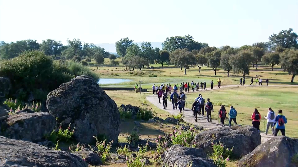 La Ruta del Robledal celebra su decimoquinta edición en la localidad cacereña de Aceituna