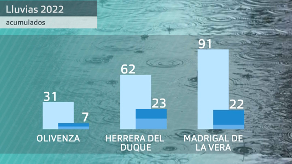 Gráficos de barras de datos de precipitación (mm)
