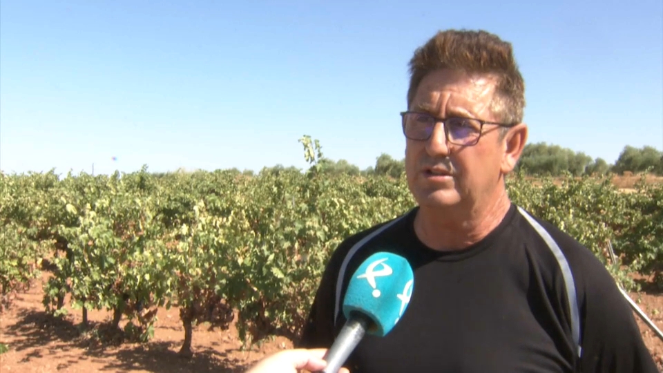 Juan María, agricultor de la cuenca del Guadiana