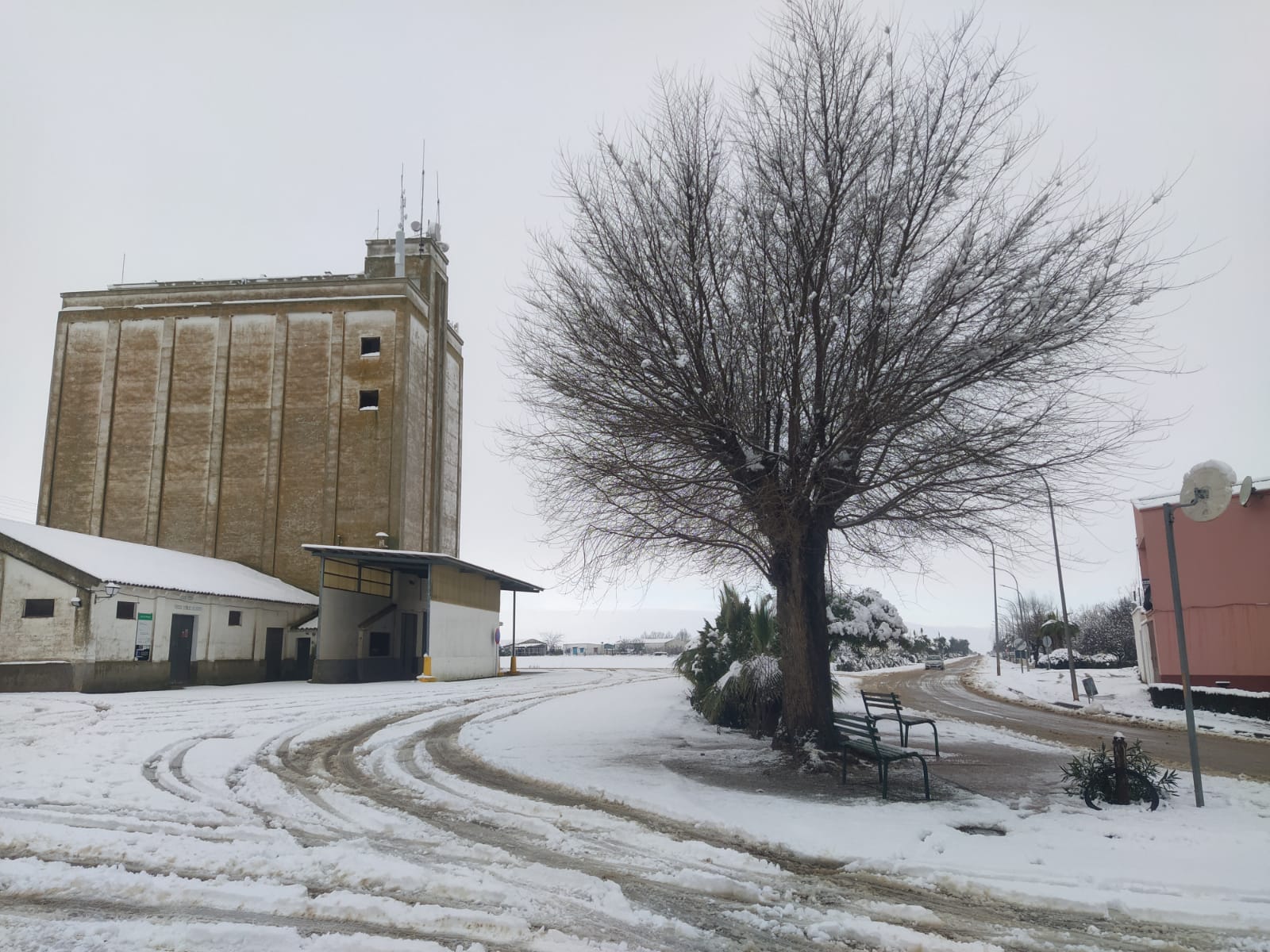 Nieve en Bienvenida