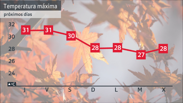 Temperatura máxima prevista para los próximos 7 días