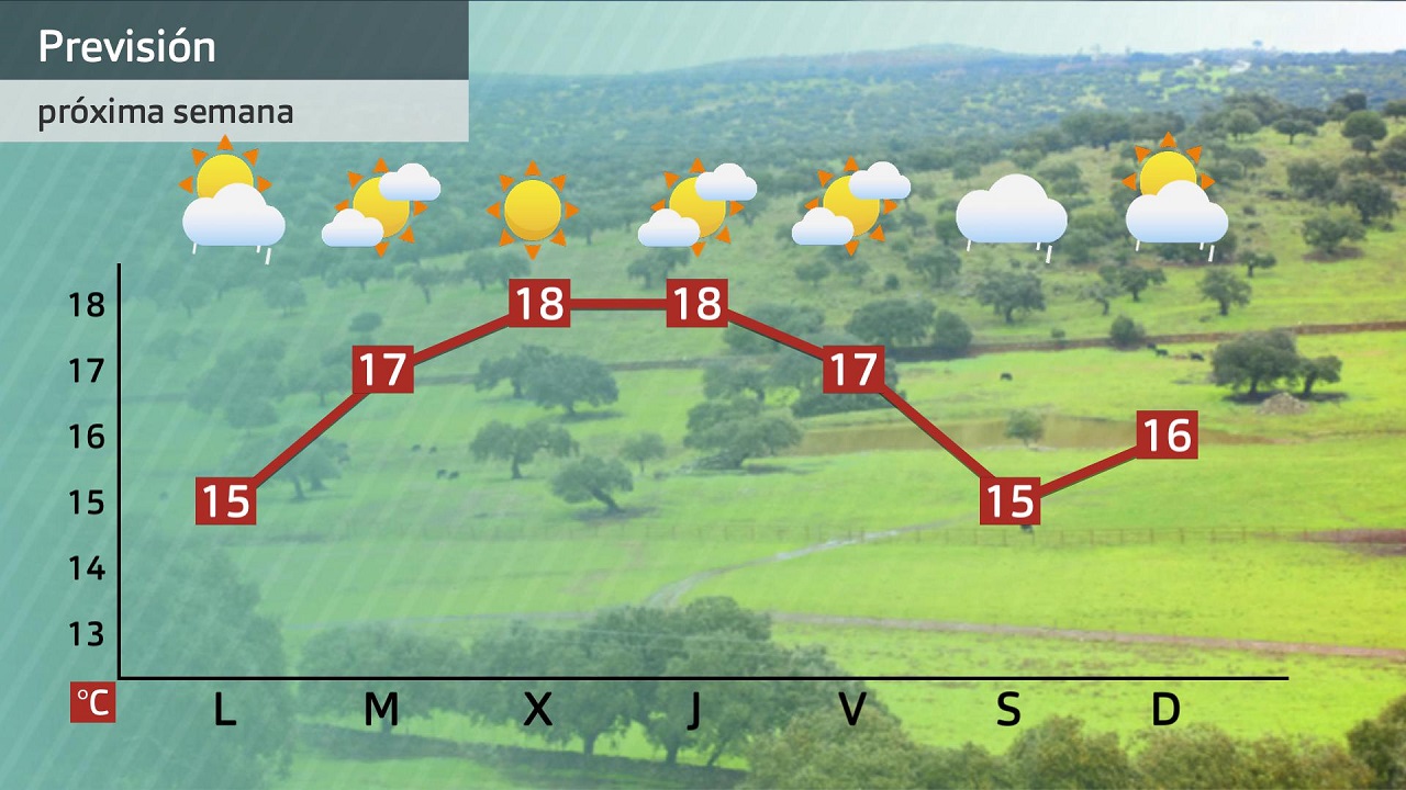 Evolución semanal