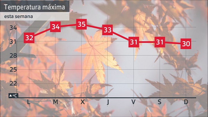 Evolución de las temperaturas máximas para esta semana