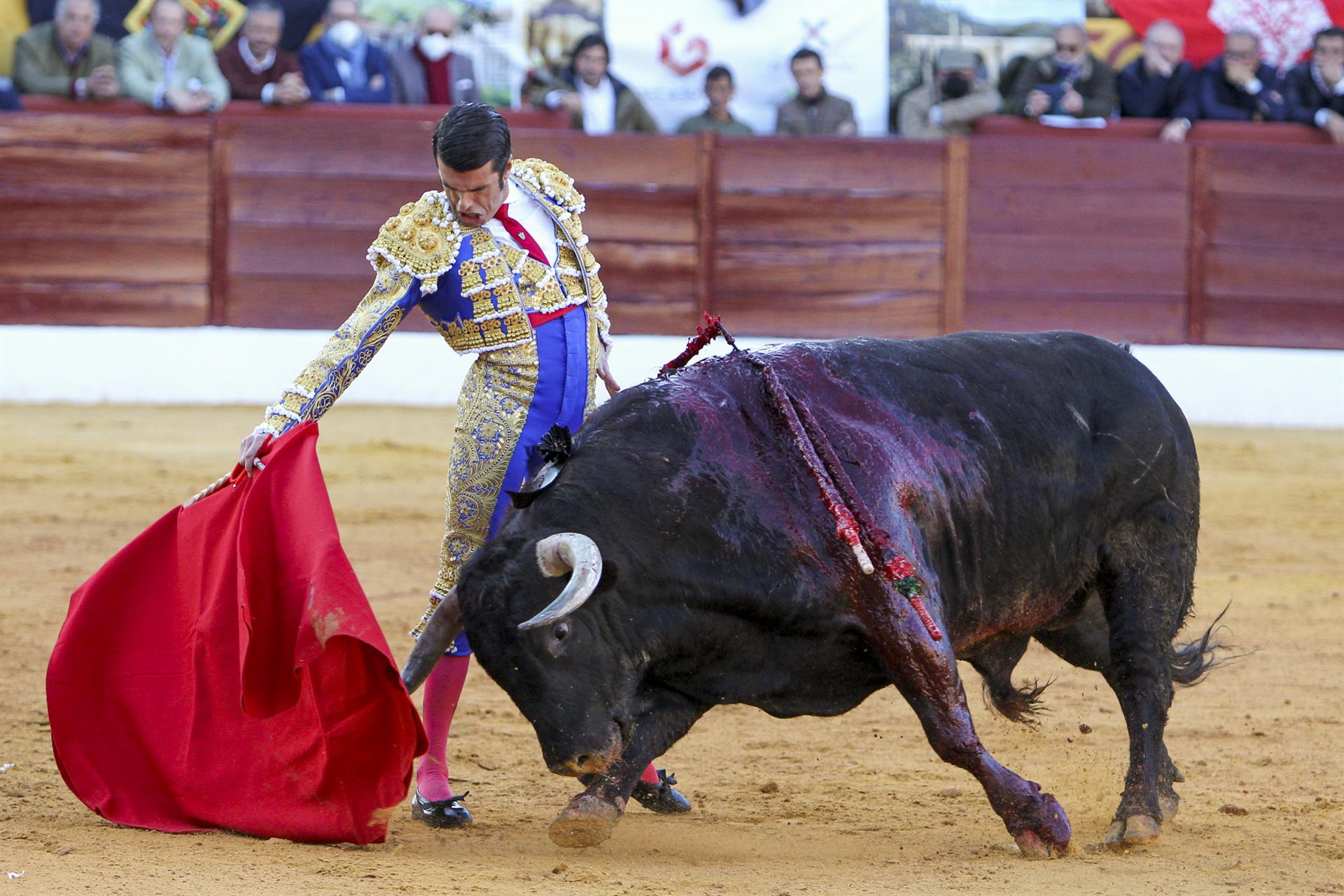 El diestro Emilio de Justo en la lidia de un toro de la ganadería de Zaluendo, este sábado en la Feria de Olivenza, que celebra su 31 edición tras el parón de los dos años anteriores por la pandemia.