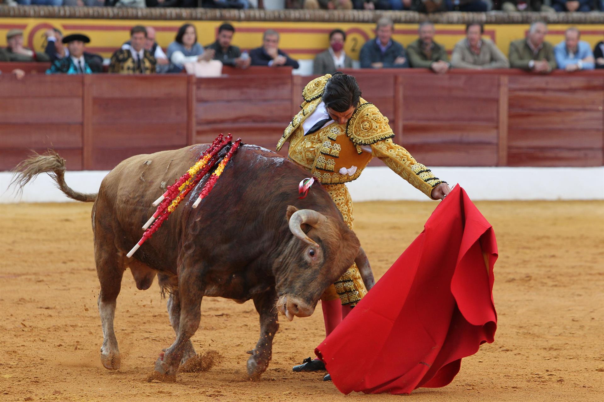 El diestro Morante de la Puebla durante la lidia del primer toro de la ganadería de Núñez del Cuvillo, hoy domingo en la Feria de Olivenza 2022 en su 31 edición.- EFE Jero Morales