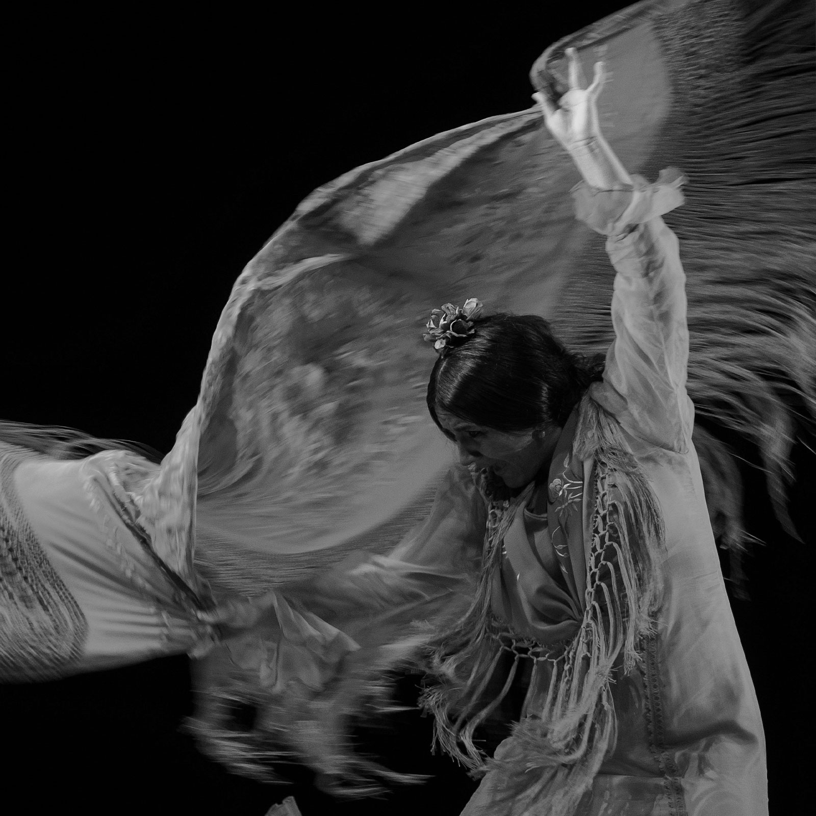 El Flamenco extremeño conquista once ciudades de México