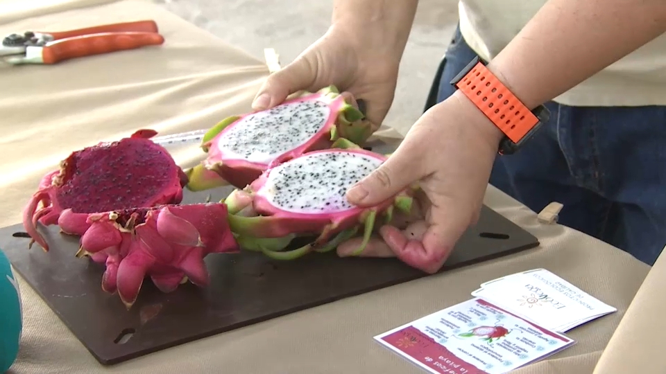 Frutas tropicales en Extremadura