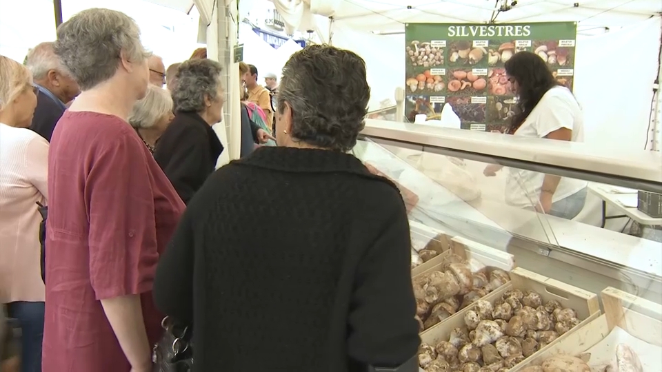 Villanueva del Fresno espera atraer a 10.000 visitantes de España y Portugal durante la Feria del Gurumelo