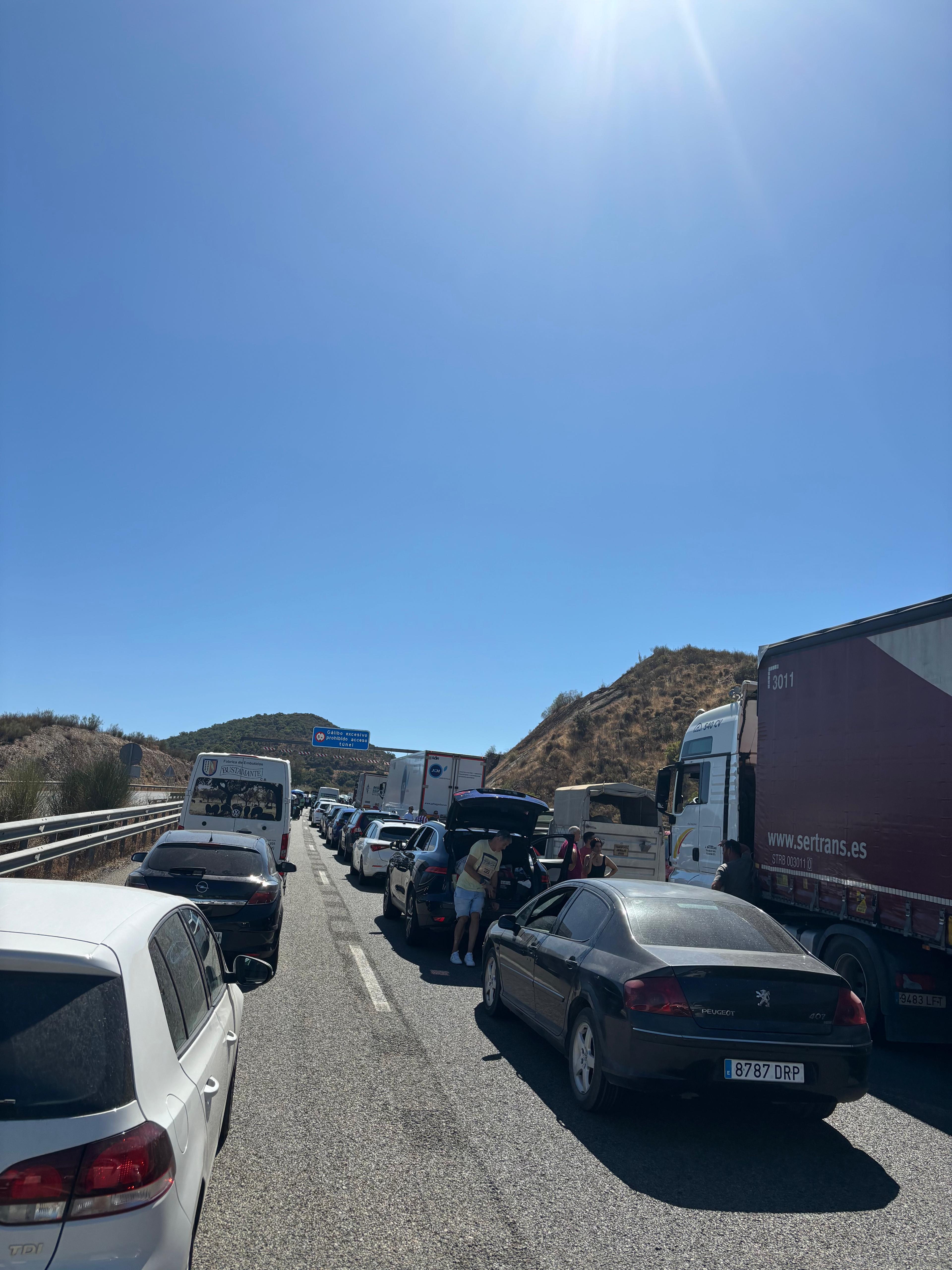 Vacas en la carretera